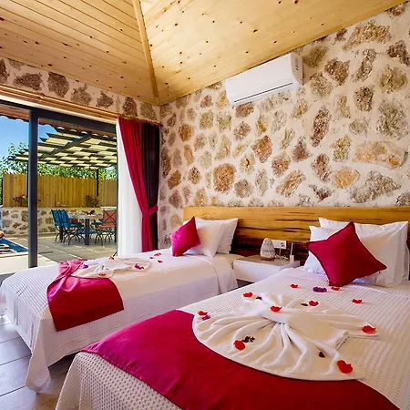 Villa Otantik *