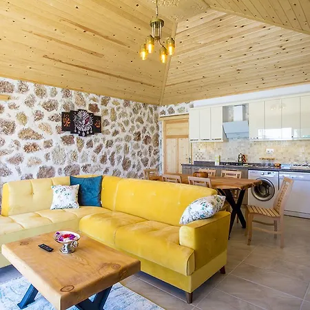 Villa Otantik